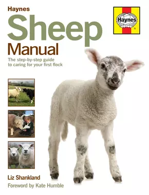 Sheep Manual