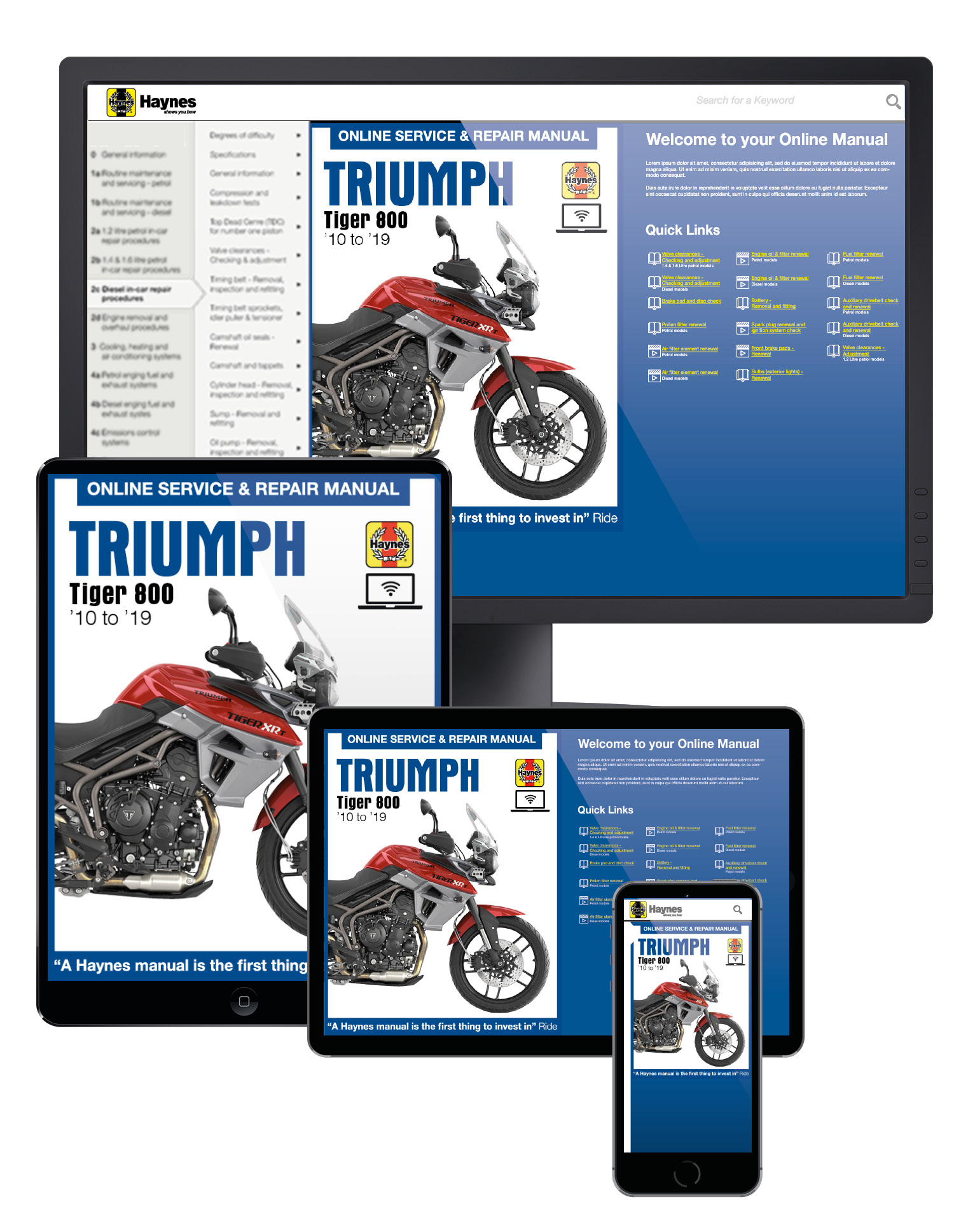 Triumph manual