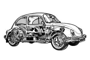 Beetle