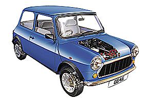 Mini