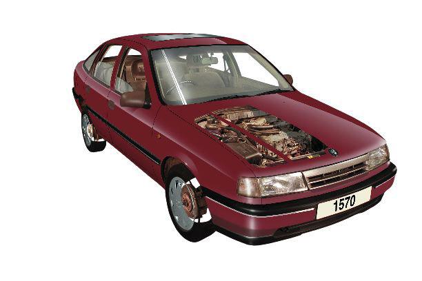 Cavalier