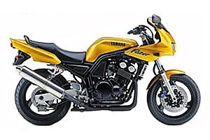 FZS600