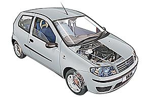 Punto