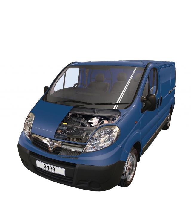 Vivaro