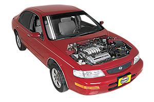 maxima