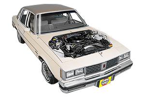 cutlass
