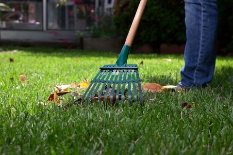 02 Rake-up winter debris