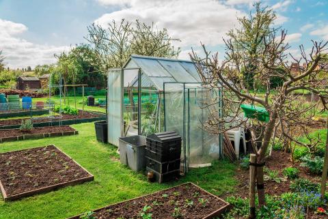 Can I have a shed, greenhouse or polytunnel on an allotment? Can I have a shed, greenhouse or polytunnel on an allotment?