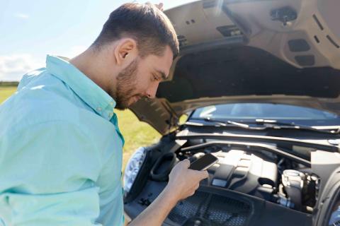 free haynes fault finder