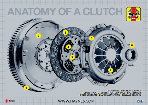 Anatomy of your car's clutch Anatomy of your car's clutch