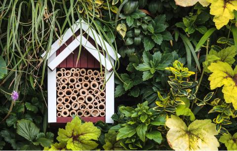 Wildlife Houses