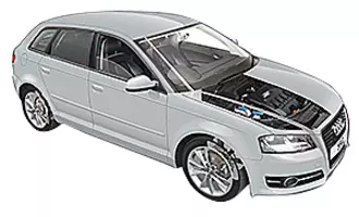 A3