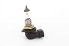 Halogen/Filament bull
