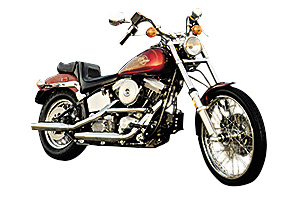 Picture of Harley-Davidson Evolution Big Twins